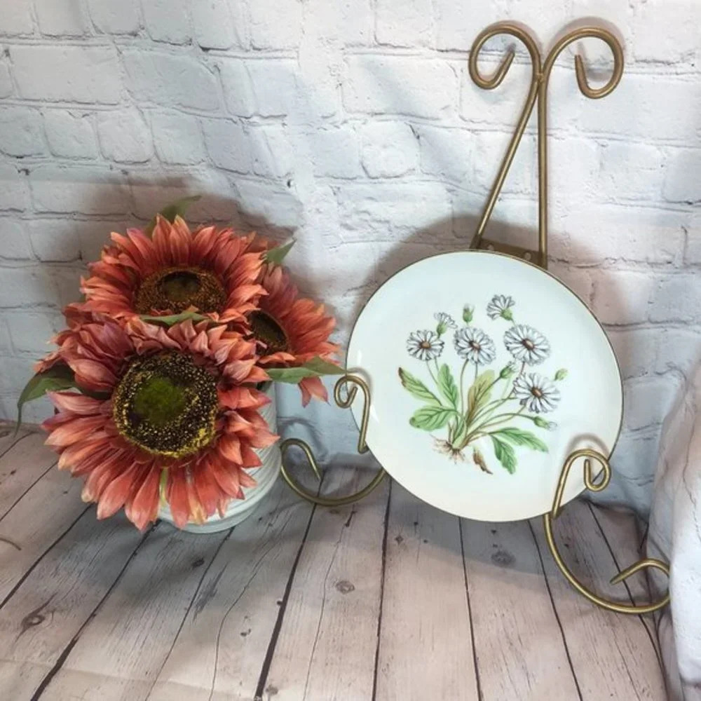 Vintage hand painted daisy plate